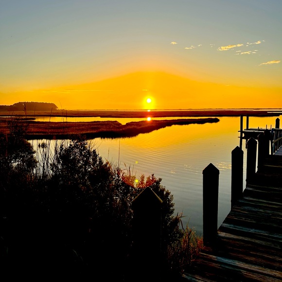 SunnyDay’s - Picture 1 of 1